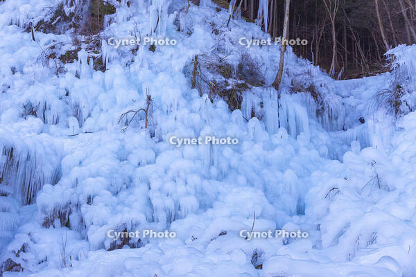 あしがくぼの氷柱 [YKA110023520]