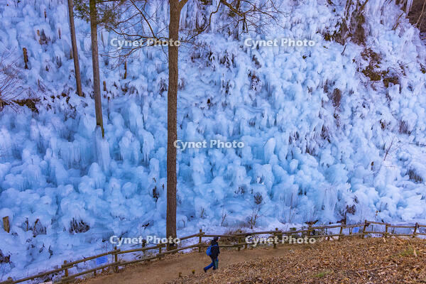 あしがくぼの氷柱 [YKA110023521]