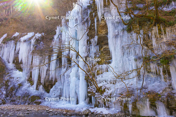 三十槌の氷柱 [YKA110023525]