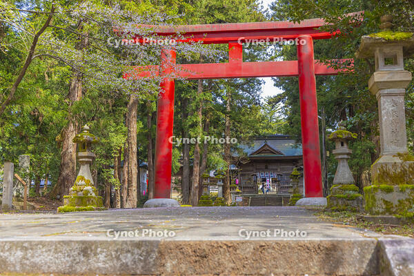 蒼柴神社 [YKA110023650]