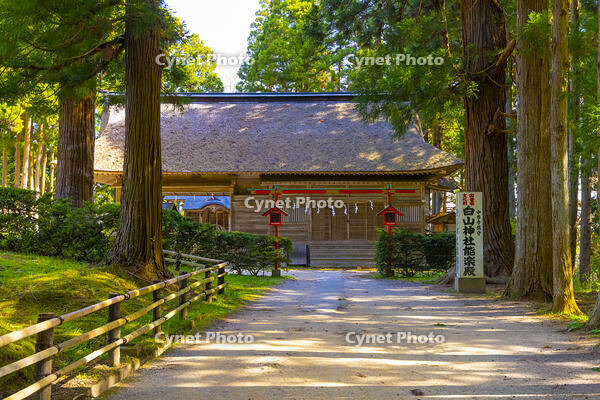 中尊寺の白山神社能楽殿 [YKA110023701]