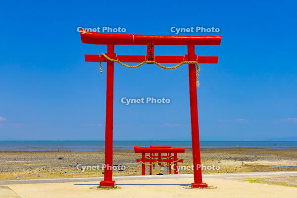 大魚神社の海中鳥居 [YKA110023829]