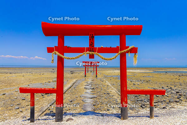 大魚神社の海中鳥居 [YKA110023830]
