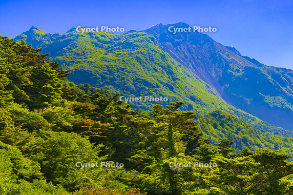 仁田峠から平成新山 [YKA110023840]