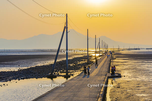 長部田海床路の夕景 [YKA110023864]