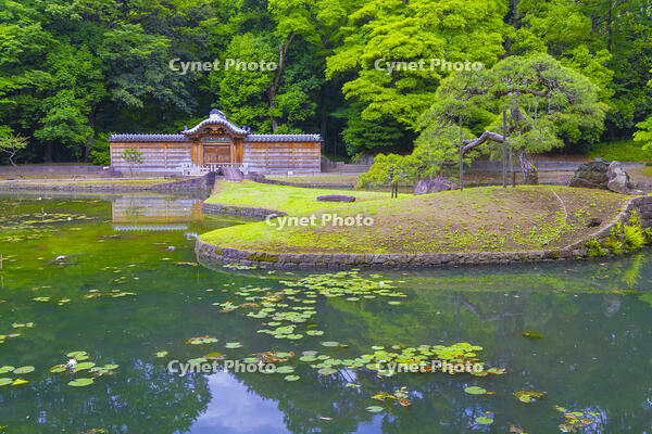 小石川後楽園の唐門 [YKA110023903]