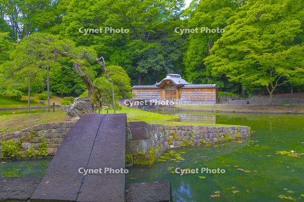 小石川後楽園の唐門 [YKA110023904]
