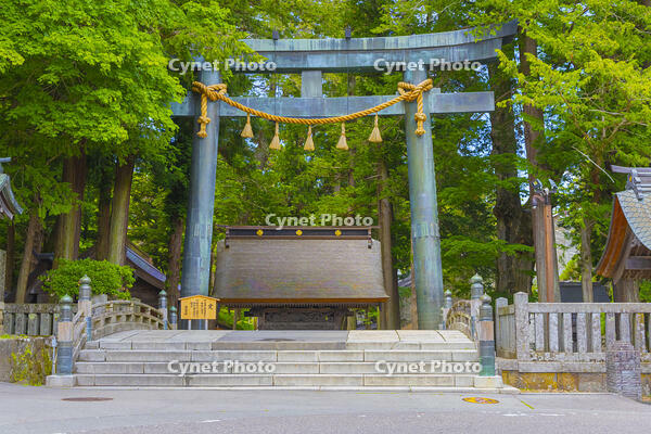 諏訪大社上社本宮の銅鳥居 [YKA110023923]