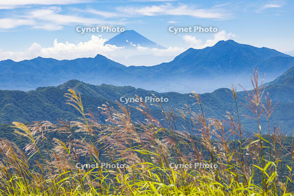 大盛山から富士山 [YKA110024093]