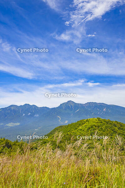 大盛山から八ヶ岳 [YKA110024096]