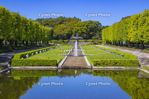 昭和記念公園の噴水 [YKA110024099]