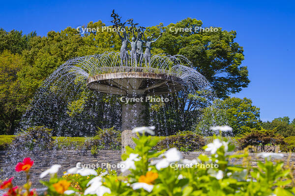 昭和記念公園の噴水 [YKA110024100]