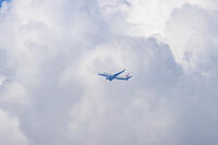 積乱雲をバックに飛ぶJALの飛行機 [XEL110002490]