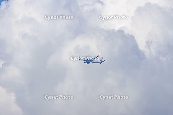 積乱雲をバックに飛ぶJALの飛行機 [XEL110002490]