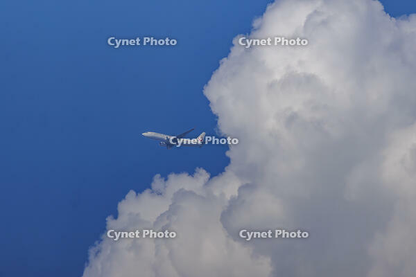 積乱雲をバックに飛ぶJALの飛行機 [XEL110002491]