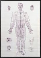 Acupuncture meridian chart [UIG110171014]
