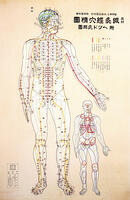 Focal points of the human body, front view, watercolor  [UIG110171015]