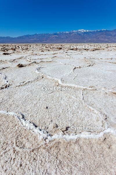 Salt polygons in Badwater Basin in the Mojave Desert in Death Valley National Park, California. [UIG110170932]