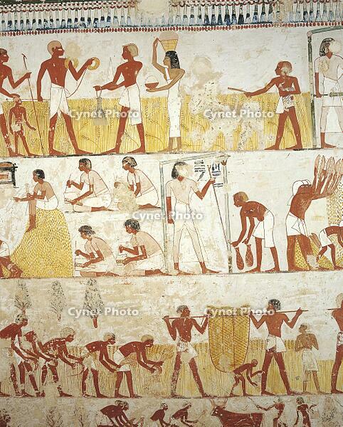 Egypt, Thebes, Luxor, Sheikh [UIG110170935]