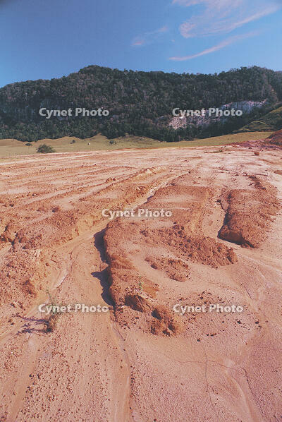 Desertification Atlantic rainforest, Brazil. [UIG110170942]