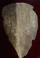 Archives: Oracle Bone Inscriptions [IMC111460123]