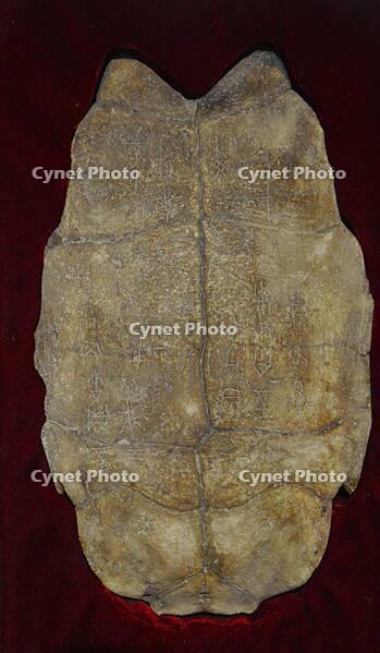 Archives: Oracle Bone Inscriptions [IMC111460124]