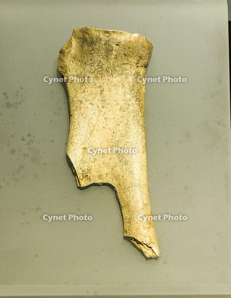 The Nanjing Museum is exhibiting oracle bone inscriptions (materials). [IMC111460126]