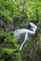 七折の滝 [NHI110041600]