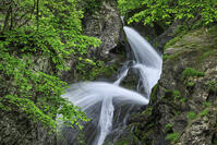 七折の滝 [NHI110041628]