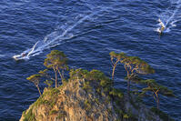 朝日に照らされた北山崎 [NHI110041653]