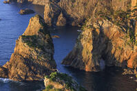 朝日に照らされた北山崎 [NHI110041654]