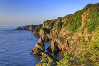 朝日に照らされた北山崎 [NHI110041655]