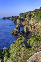 北山崎 [NHI110041659]