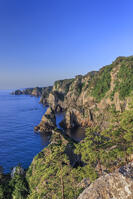 北山崎 [NHI110041660]