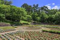 ポランの広場 [NHI110041680]