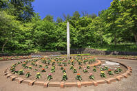 ポランの広場 [NHI110041683]