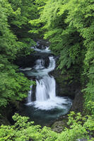 鳳鳴四十八滝 [NHI110041714]