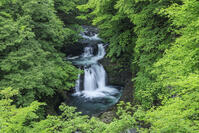 鳳鳴四十八滝 [NHI110041715]