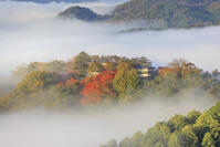雲海に浮かぶ備中松山城 [NHI110042024]