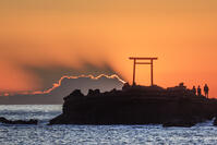 波立海岸の弁天島 [NHI110042693]
