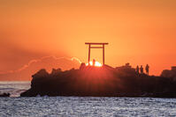 波立海岸の弁天島 [NHI110042694]