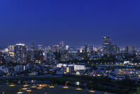 青葉山公園から望む仙台市街夜景 [NHI110043470]