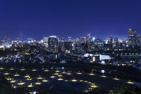 青葉山公園から望む仙台市街夜景 [NHI110043476]