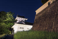 仙台城の大手門脇櫓夜景 [NHI110043487]