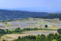 山本山高原から望む水田 [NHI110043525]