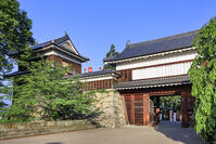 上田城の東虎口櫓門 [NHI110043533]