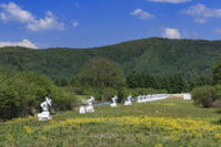 国立天文台野辺山宇宙電波観測所 [NHI110043551]