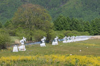 国立天文台野辺山宇宙電波観測所 [NHI110043552]