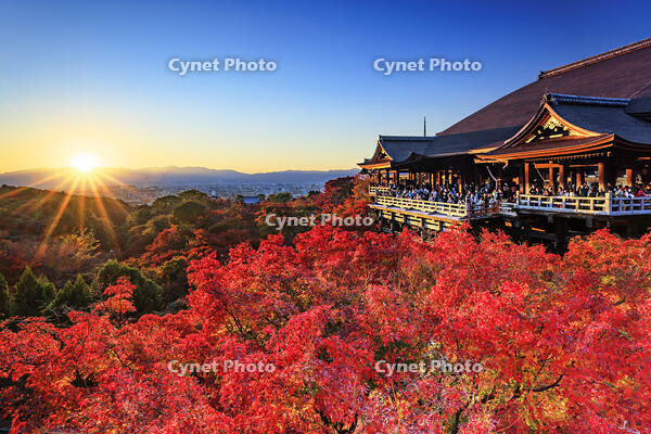 紅葉した清水寺の夕暮れ [NHI110033518]