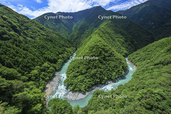 観ても使っても楽しい端渓硯シリーズヾ(๑╹◡╹)ノ\"   No.29 観ても使っても楽しい端渓硯シリーズヾ(๑╹◡╹)ノ